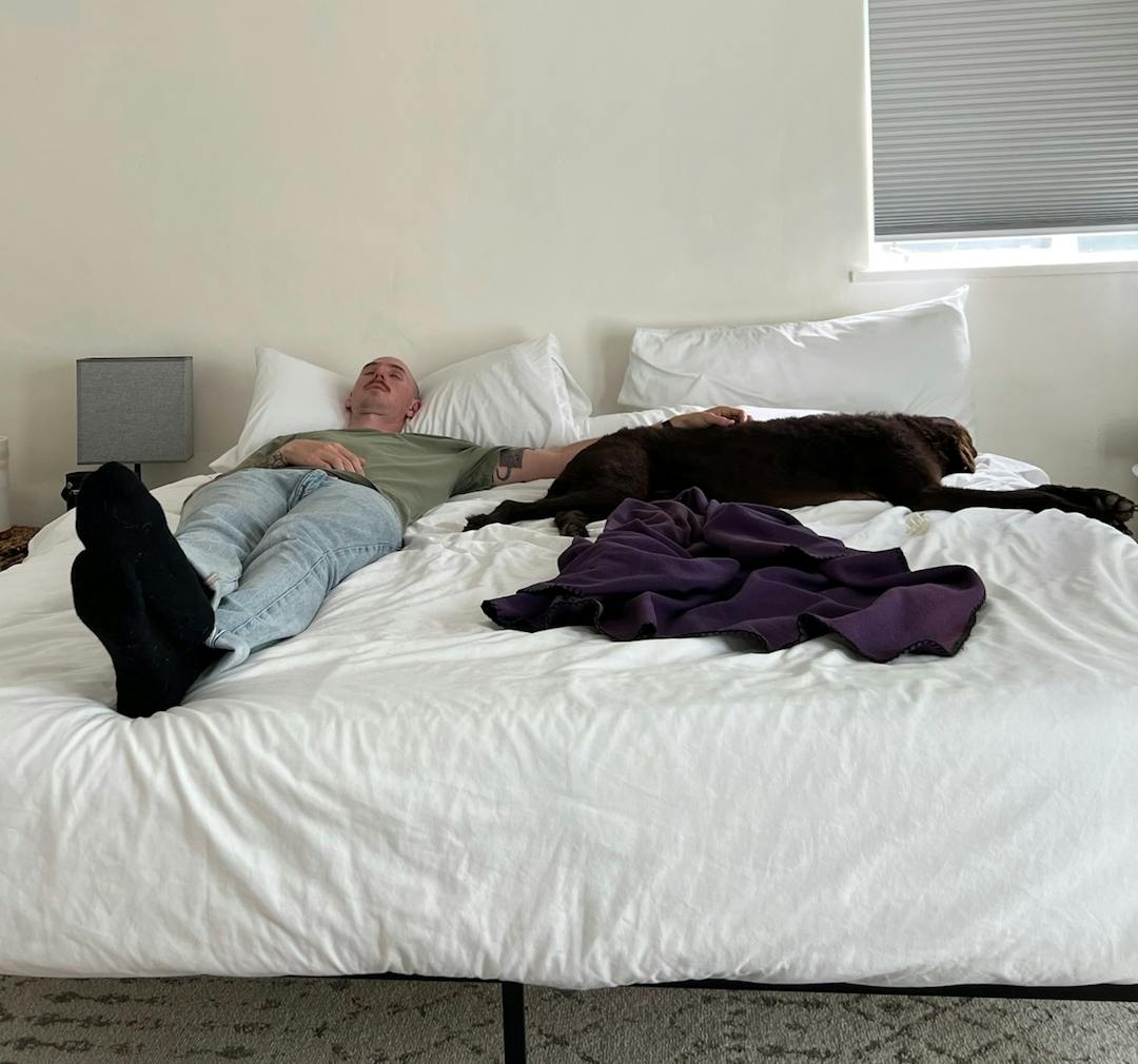 Patrick and Mara snoozing on the bed