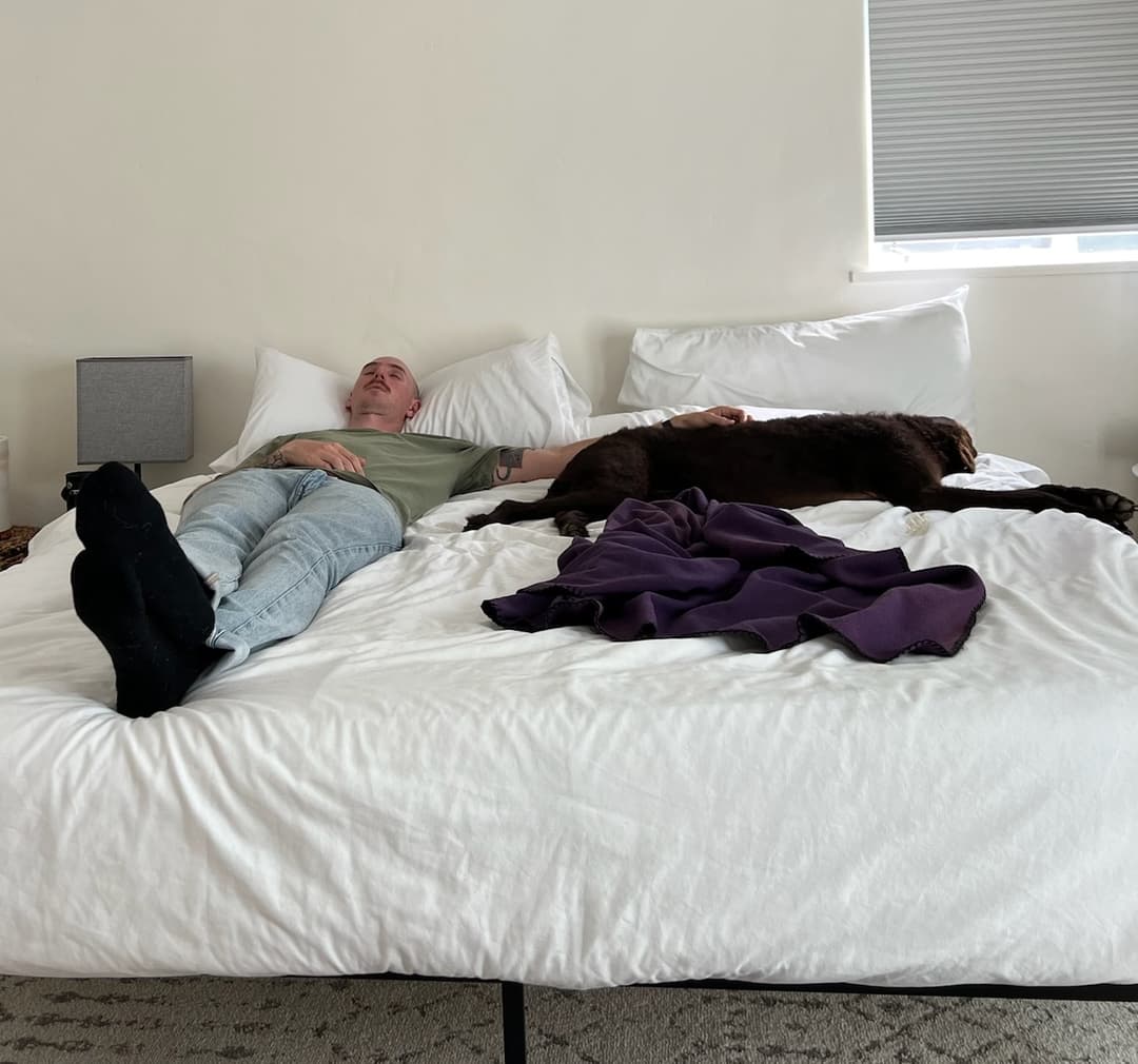 Patrick and Mara snoozing on the bed